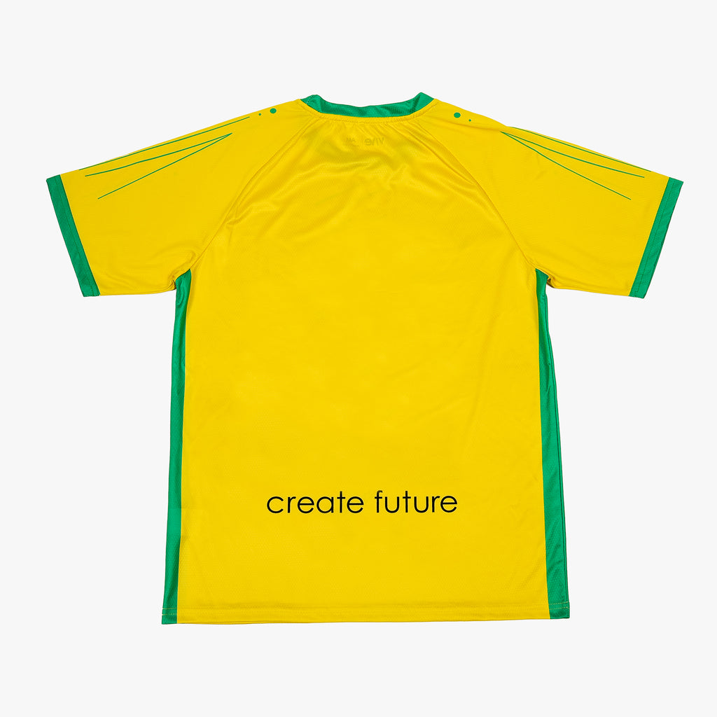 Flashes Soccer Jersey back side view - Yellow and Green color design from VIVE